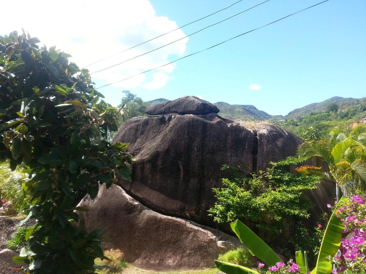 Jardin Marron Appartement Baie Sainte Anne Buitenkant foto
