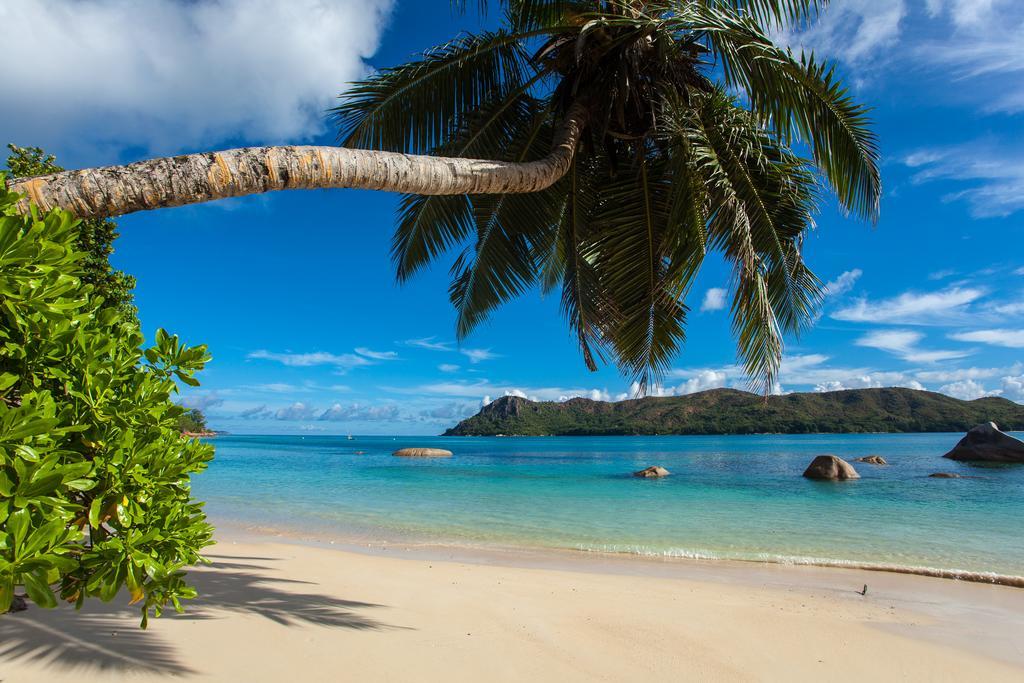 Jardin Marron Appartement Baie Sainte Anne Buitenkant foto