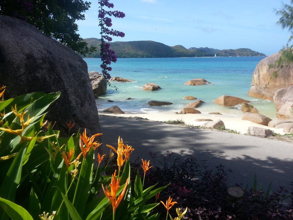 Jardin Marron Appartement Baie Sainte Anne Buitenkant foto