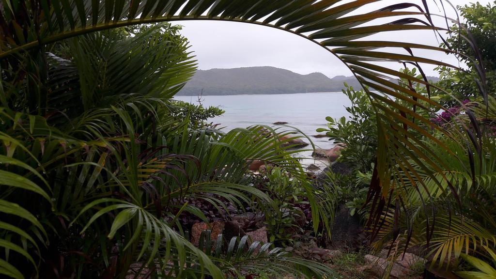 Jardin Marron Appartement Baie Sainte Anne Buitenkant foto