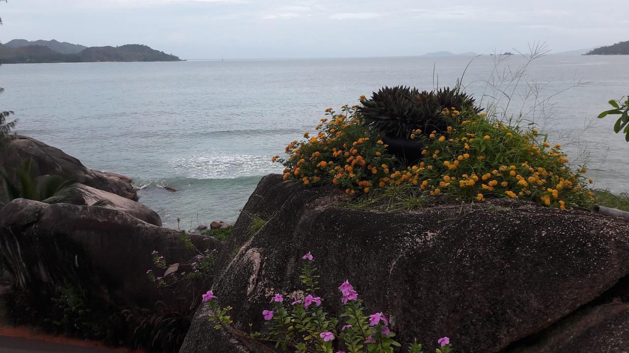 Jardin Marron Appartement Baie Sainte Anne Buitenkant foto