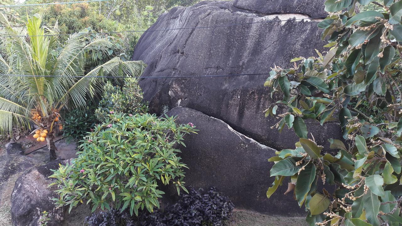 Jardin Marron Appartement Baie Sainte Anne Buitenkant foto